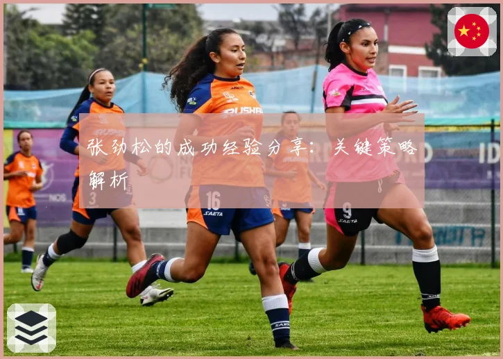 张劲松的成功经验分享:关键策略解析
