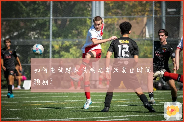 如何查询球队伤病名单及复出时间预测?