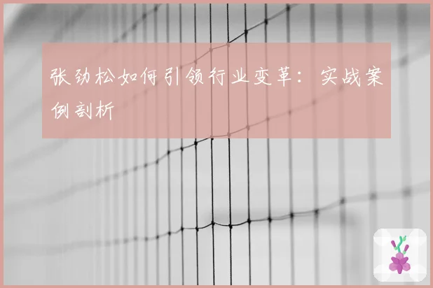 张劲松如何引领行业变革：实战案例剖析