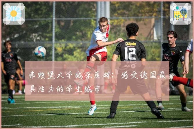 弗赖堡大学城深度游:感受德国最具活力的学生城市