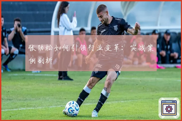 张劲松如何引领行业变革：实战案例剖析