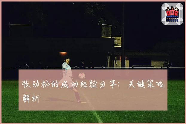张劲松的成功经验分享:关键策略解析