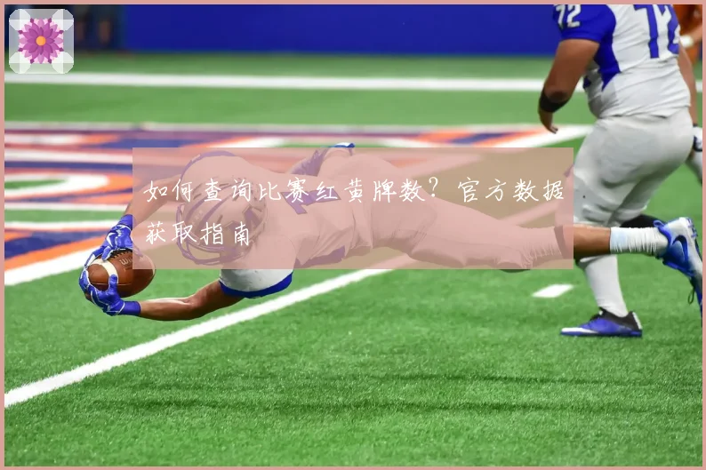 如何查询比赛红黄牌数?官方数据获取指南